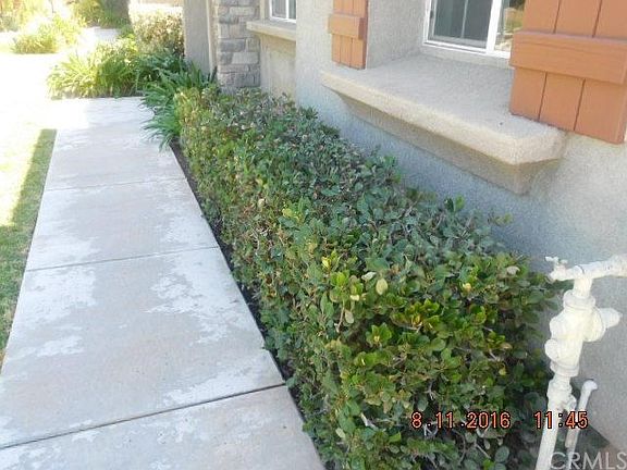 5th image of 426 Carlye Cir