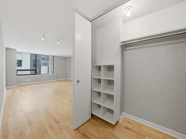 233 E Erie St #1301 — Photo 10