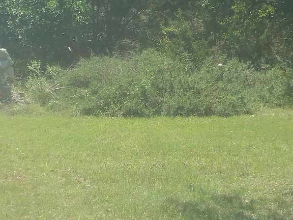 3rd image of 1289 Polly Peak Dr