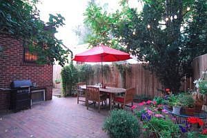 Back Patio