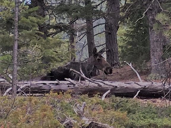 3rd image of 8467 Spirit Horse Trl