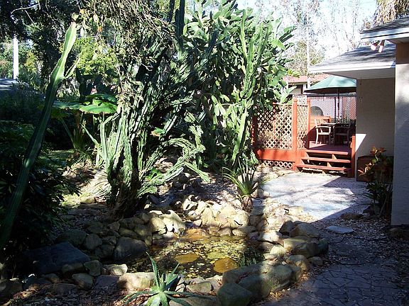 Close-up of pond with deck in background