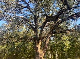 171 Winningham Rd, Summerville, SC 29483