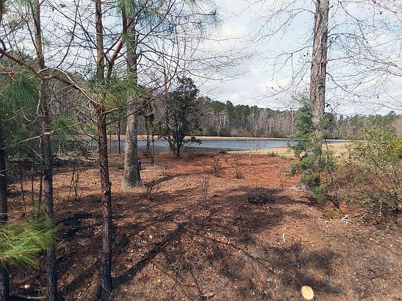 4th image of 1038 Leesburg Dr