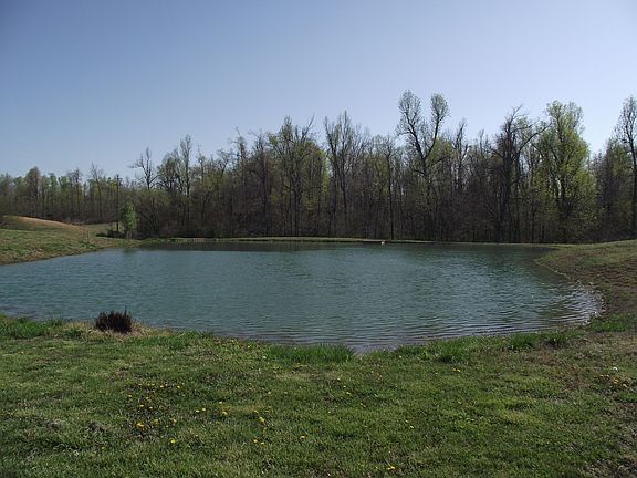 Stocked Pond