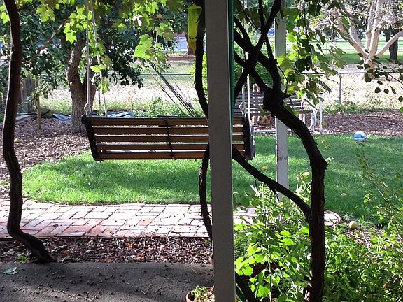 Backyard swing in summer