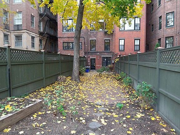 backyard view towards house 