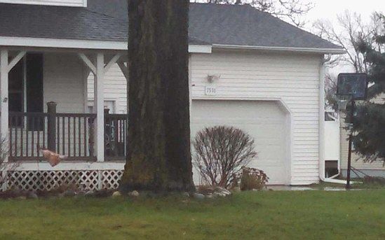 2nd image of 7976 Hartel Rd