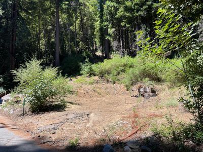 230 Brook Ln, Boulder Creek, CA, 95006