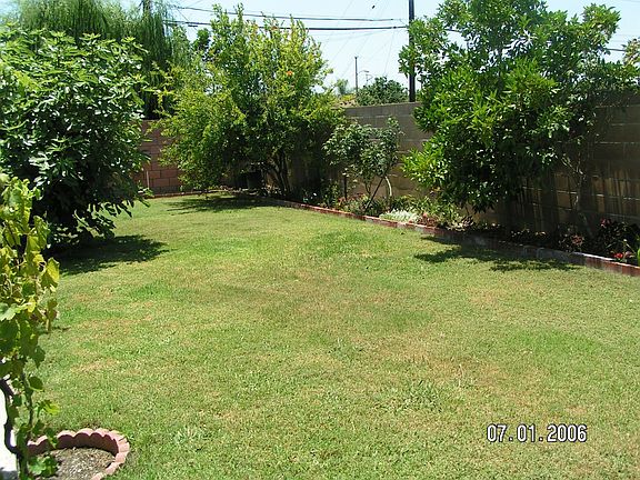 Large backyard