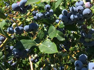 411 Celestine Pl, Hartwell, GA 30643