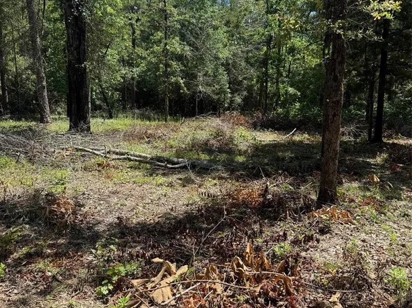 Camelot Dr, Woodville, TX 75979