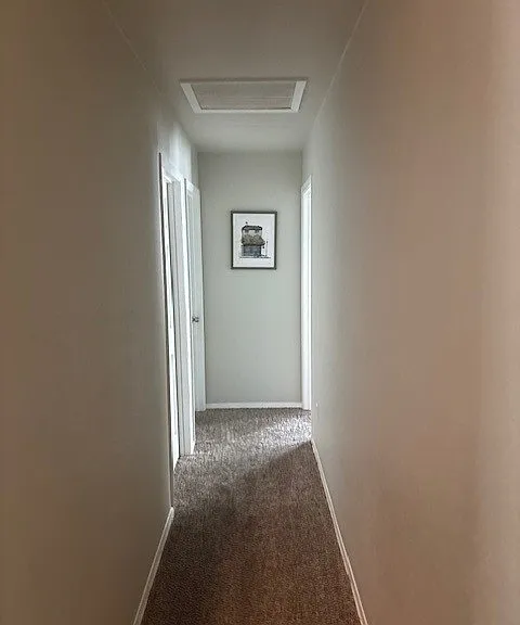 7208 Geneva Dr — Photo 24