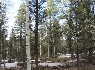 4047 Omer Ln, Divide, CO 80814
