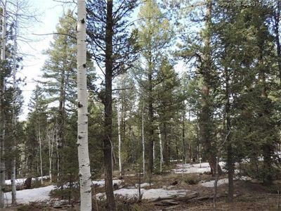 4047 Omer Ln, Divide, CO, 80814