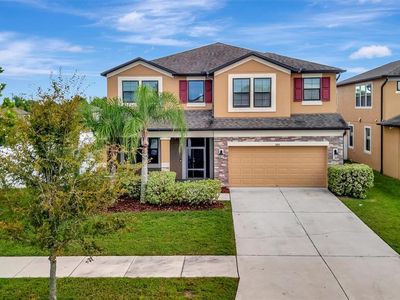 11451 Amapola Bloom Ct, Riverview, FL, 33579