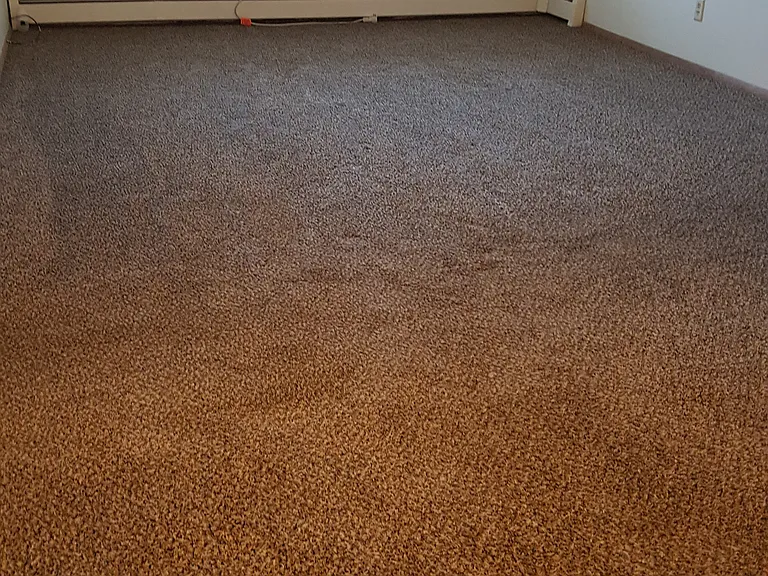 2505 N Frederick Ave — Photo 12