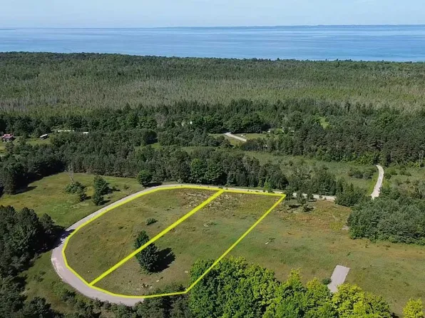 0 Fox Mission Trl #9, Central Lake, MI 49622