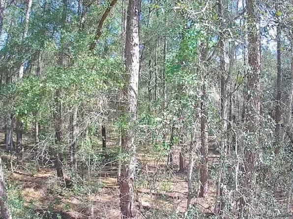 8587 N Stern Way #9, Dunnellon, FL 34434