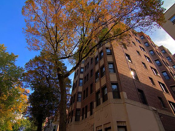 2nd image of 515 W Briar Pl APT 206