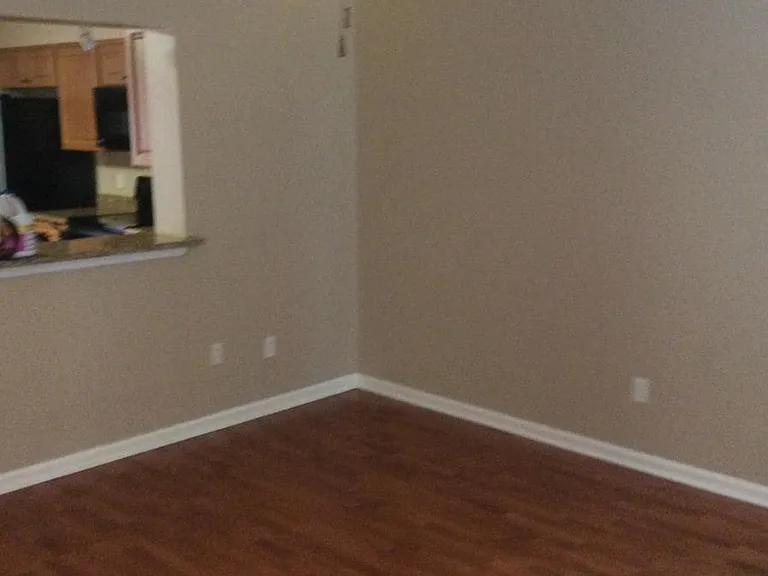 556 Green Spring Cir — Photo 7