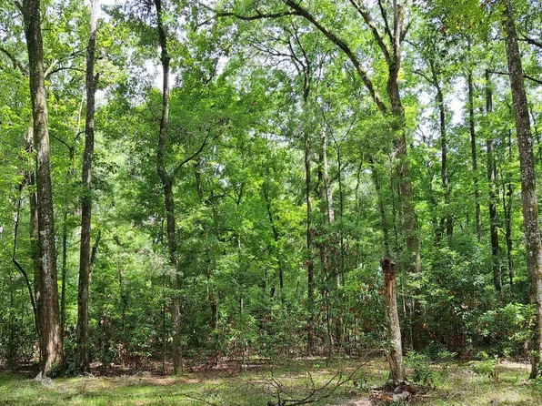 River Run Rd, Branford, FL 32008