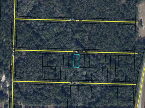 Lots 19/20 Cherry St, Vernon, FL 32462