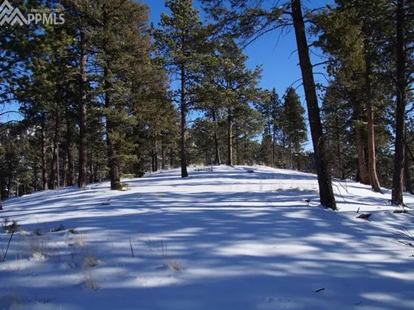 492 Nichole Grove Dr, Woodland Park, CO 80863