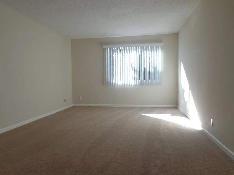 20836 Chester St.