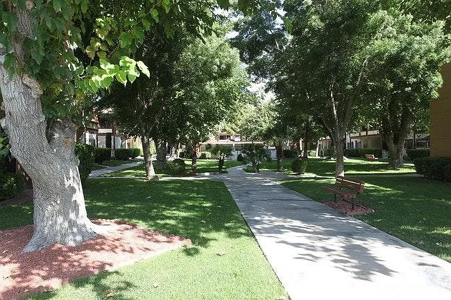 350 E Desert Inn Rd #C206 — Photo 2