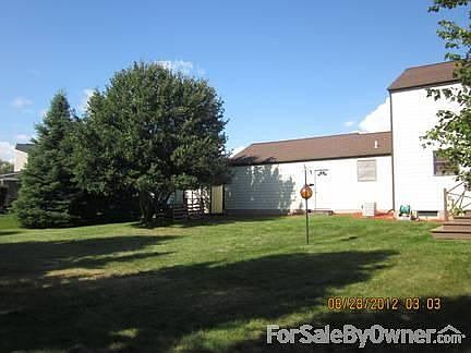 Back yard, shed, compost, garage area
						:
						Yard slopes away from house, rain gutters drain 10+ feet from house
