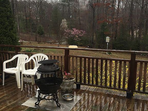 winter view without leafs