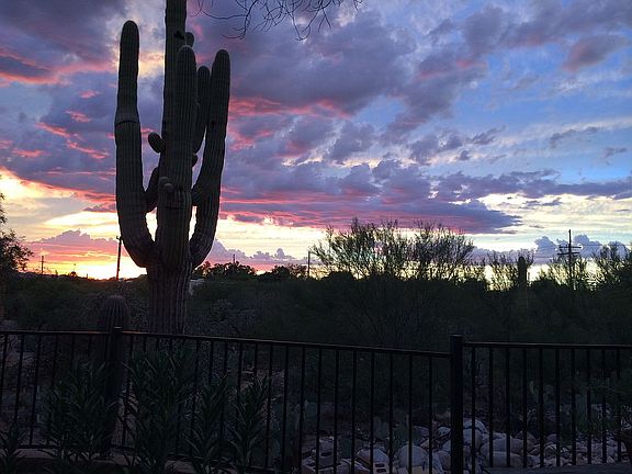 Backyard view