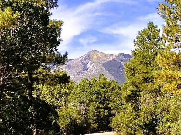 256 Red Canyon Rd, Mountainair, NM 87036