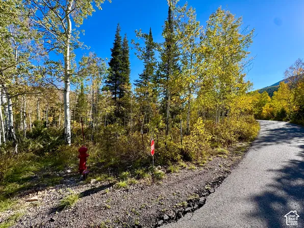 58 N Uinta Dr, Oakley, UT 84055