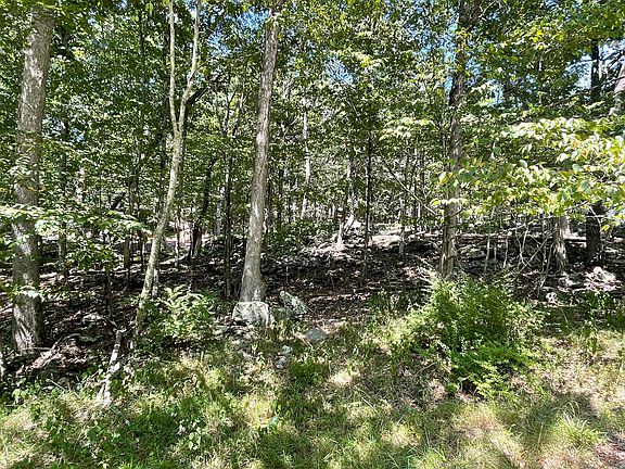 3rd image of 271 Saunders Ct