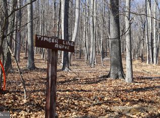 LOT 78 Timberline Dr #B, Lost City, WV 26810
