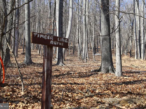 LOT 78 Timberline Dr #B, Lost City, WV 26810