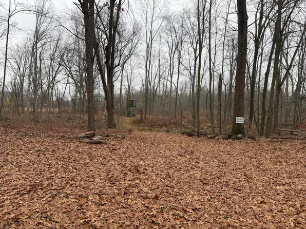 Burtch Rd, Grass Lake, MI 49240