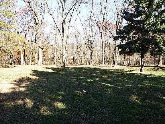 rear yard