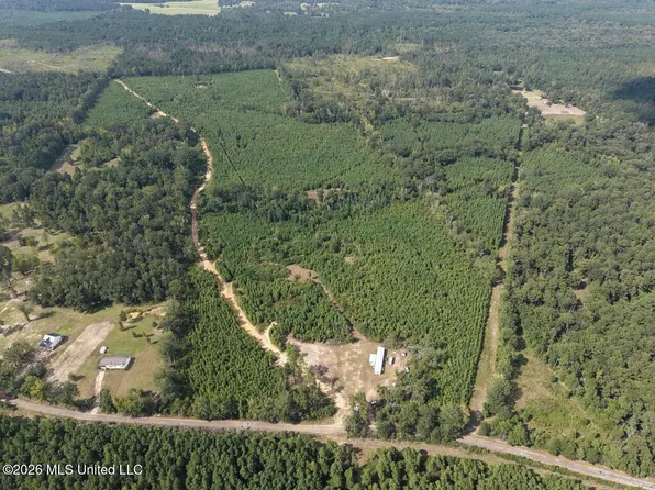 3563 Powell Rd, Liberty, MS 39645