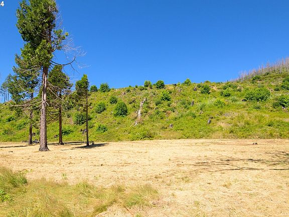 5th image of River Rd