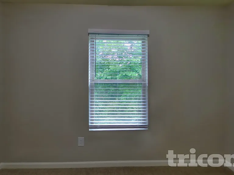 4316 Traipse Path — Photo 16