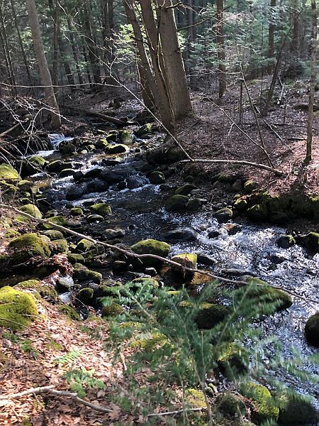 3rd image of 0 HUNT LAKE Road