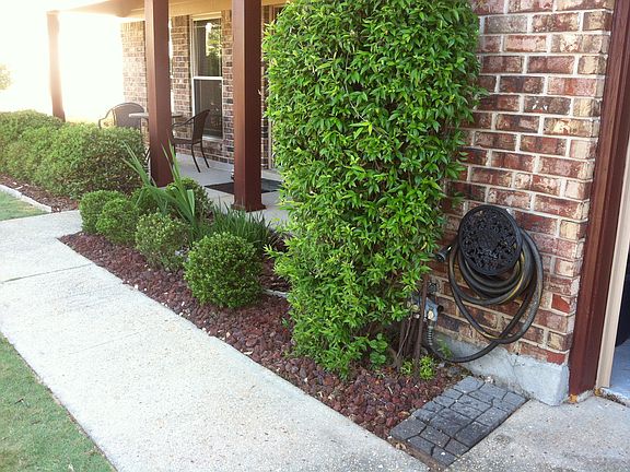 Front landscap
