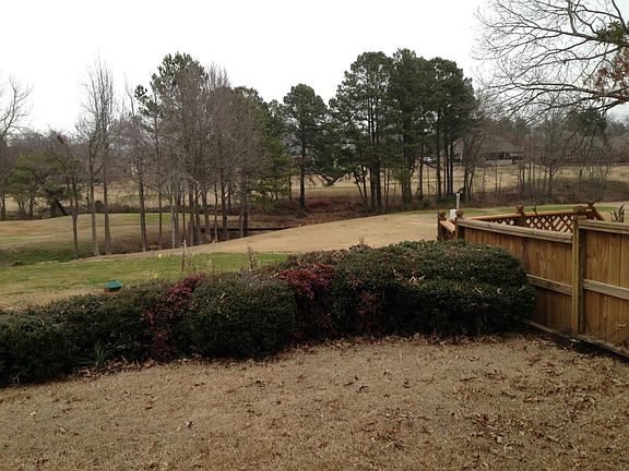 Back Yard view