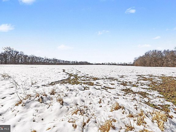 2nd image of 298 Tapeworm Rd