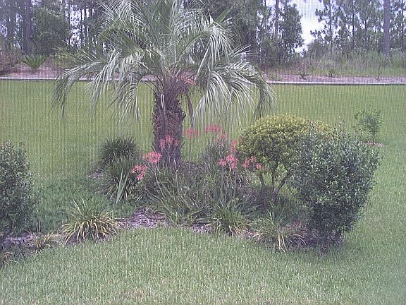 4th image of 2850 N Brentwood Cir