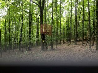 10438 Mattice Rd, Cohocton, NY 14826