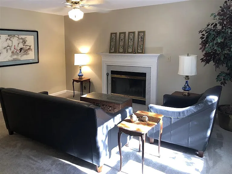 223 Scarlett Dr — Photo 7